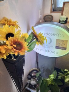 投稿についてもっと詳しく ダイアナ美来（みらい）サロン